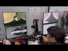 Fresadora de extremo de bola de 2 flautas de 8 mm HRC 55° para aluminio, inspección de apariencia y calidad de la superficie